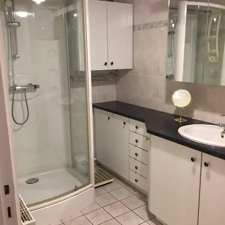 Spacieux F3 Au Puy Apartment